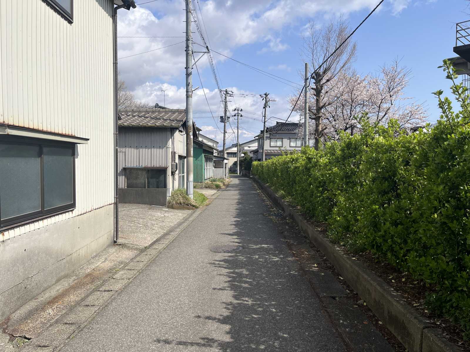 前面道路(新潟市道 3.45m 要セットバック) (周辺) 前面道路(新潟市道 3.45m 要セットバック) (周辺)