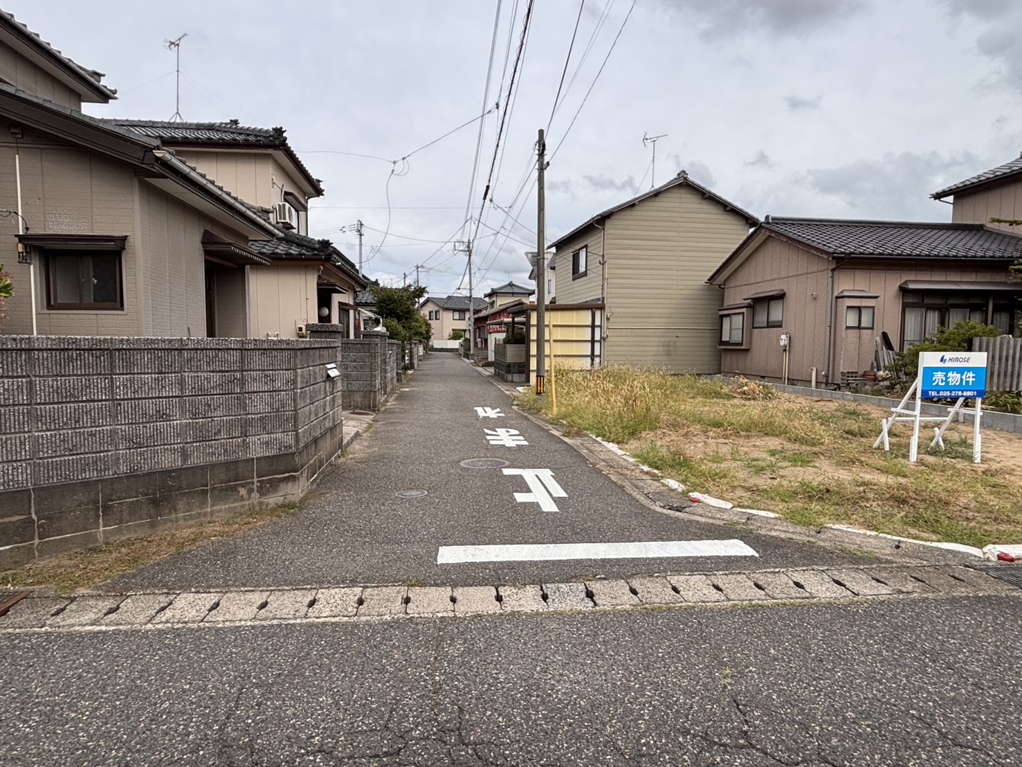 (外観) (外観)